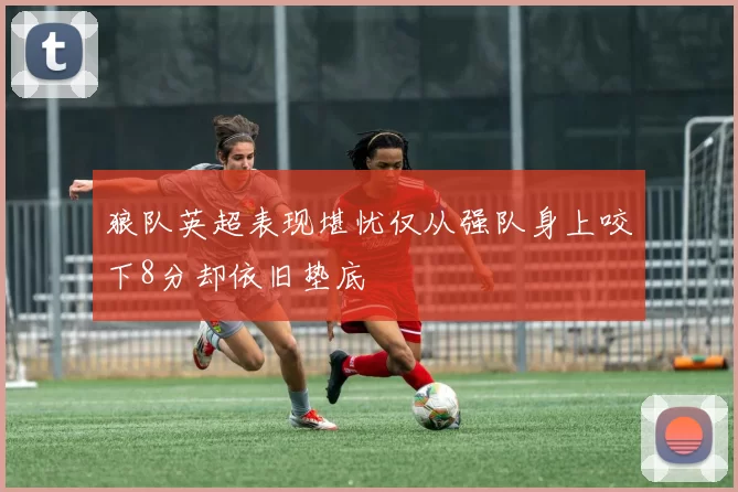 狼队英超表现堪忧仅从强队身上咬下8分却依旧垫底