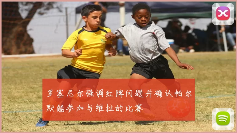 罗塞尼尔强调红牌问题并确认帕尔默能参加与维拉的比赛